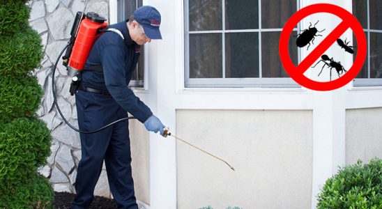 Yeşilyurt Akrep İlaçlama böcek ilaçlama ve haşere kontrolü — ilaclama-tr.com